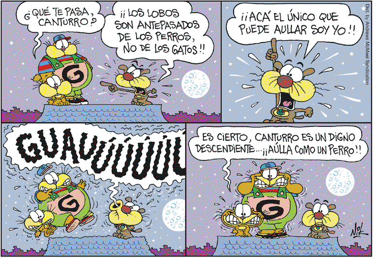 Imagen